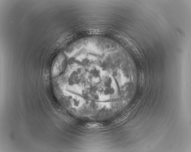 X0000115650557200912081127