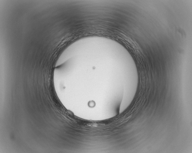 X0000115650558200912081127