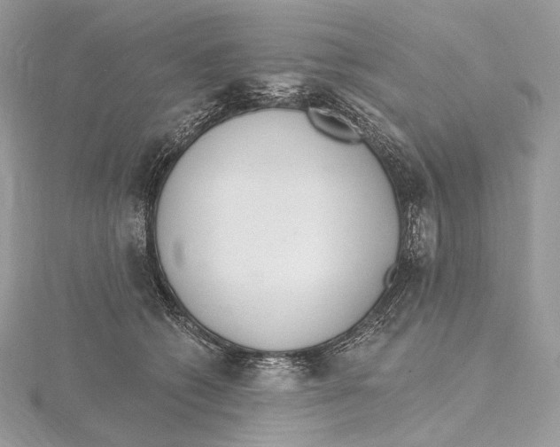 X0000115650562200912081127