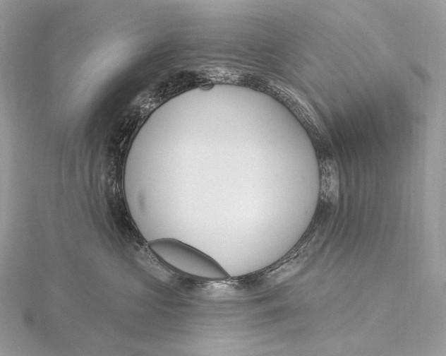 X0000115650573200912081127
