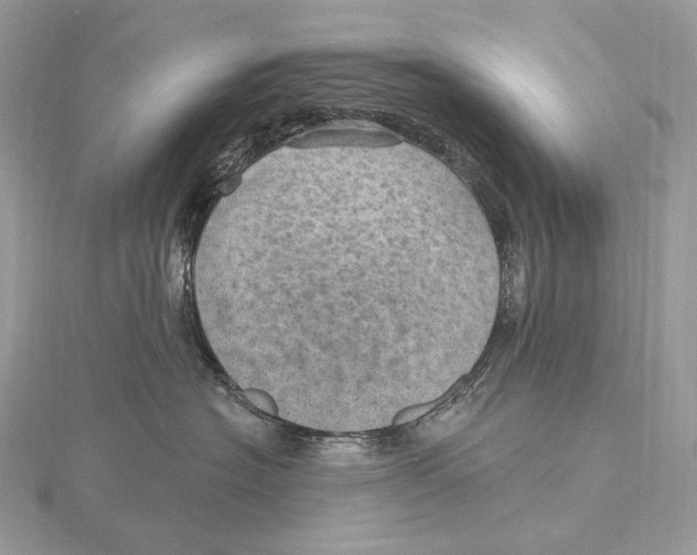 X0000115650574200912081127