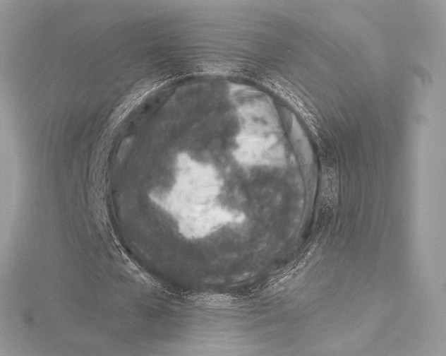 X0000115650577200912081127