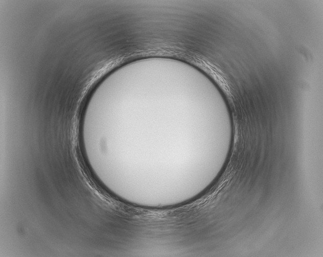 X0000115650578200912081127