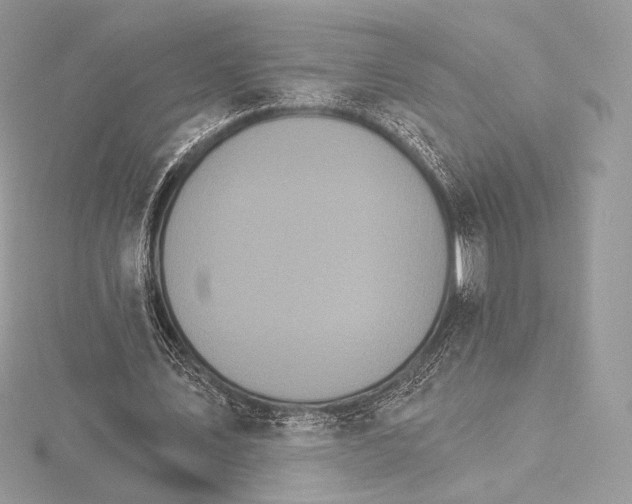 X0000115650579200912081127