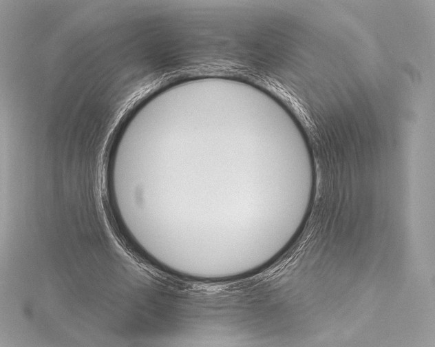 X0000115650582200912081127