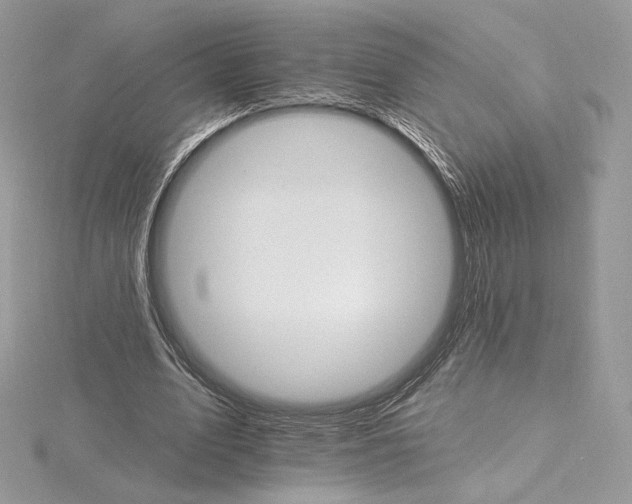 X0000115650583200912081127