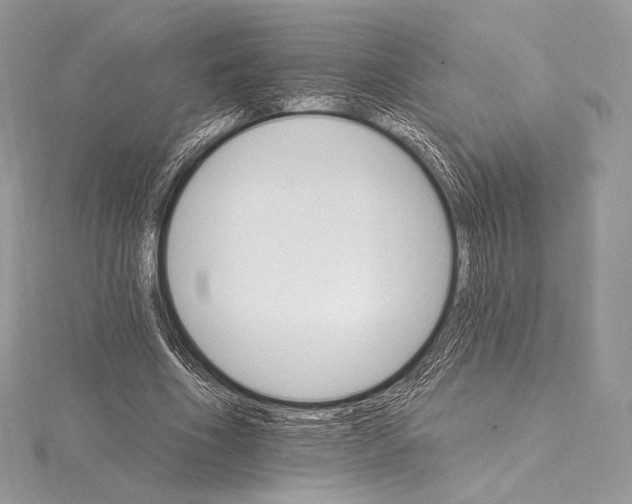 X0000115650586200912081127