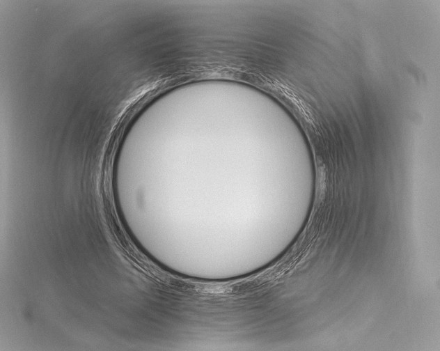 X0000115650587200912081127