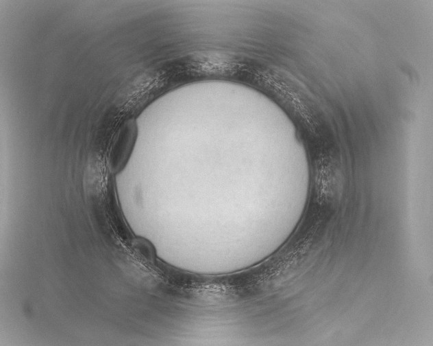 X0000115650593200912081126