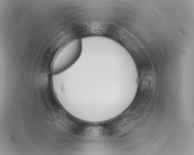 X0000115650595200912081126
