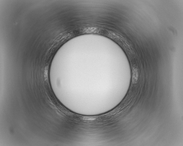 X0000115650602200912081126