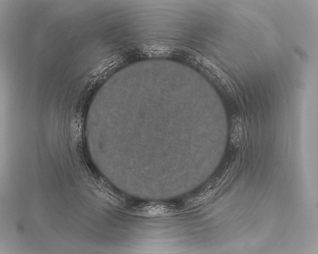 X0000115650604200912081126