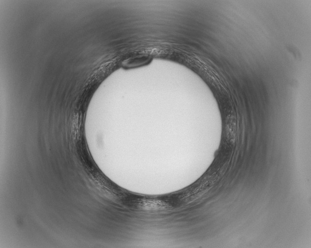 X0000115650605200912081126