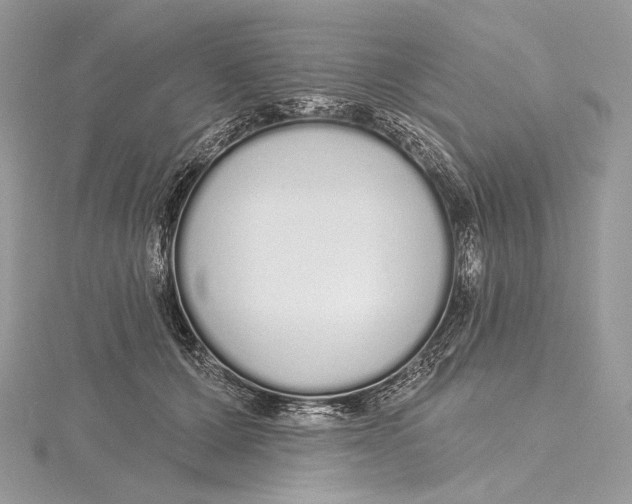 X0000115650607200912081126