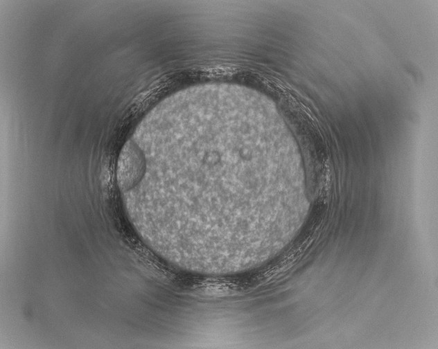 X0000115650608200912081126