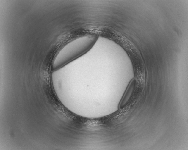 X0000115650609200912081126