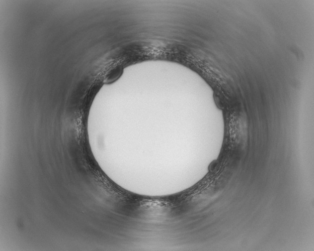 X0000115650611200912081126