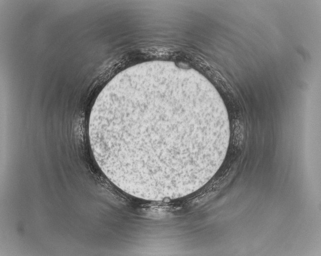 X0000115650612200912081126