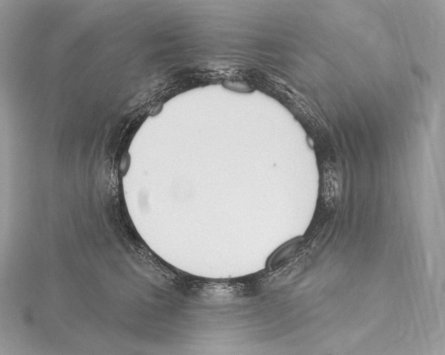 X0000115650613200912081126