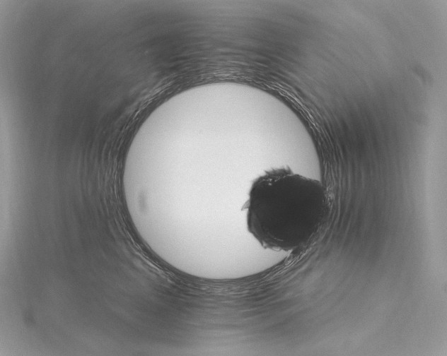 X0000115650617200912081126