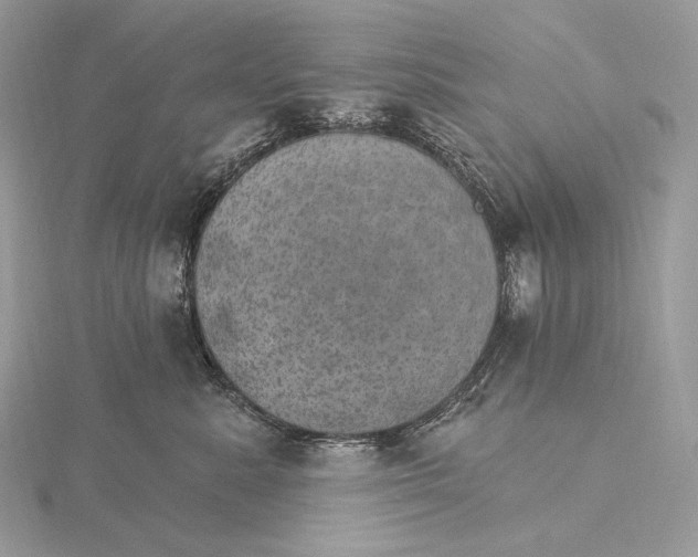 X0000115650619200912081126
