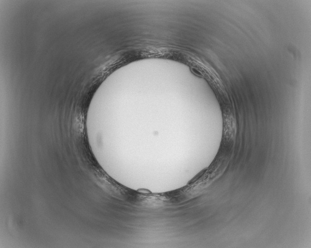 X0000115650621200912081126