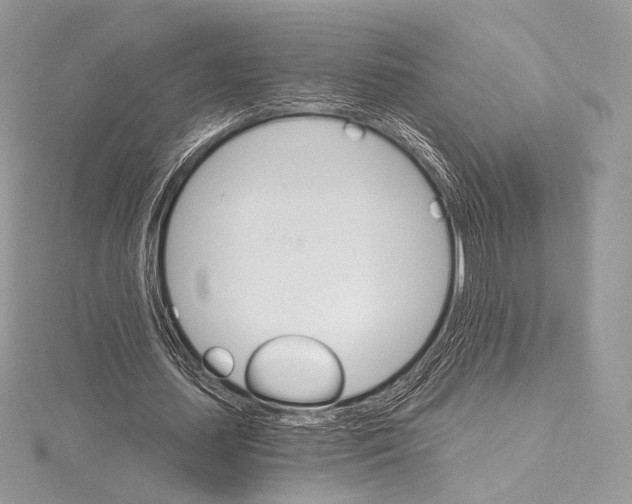 X0000115650627200912081125