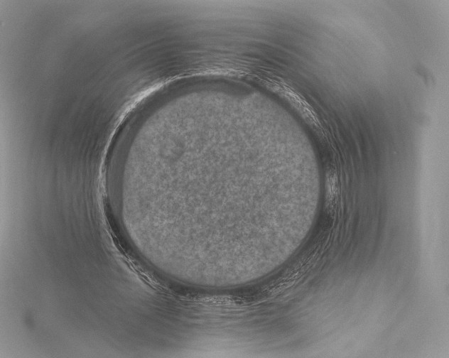 X0000115650628200912081125