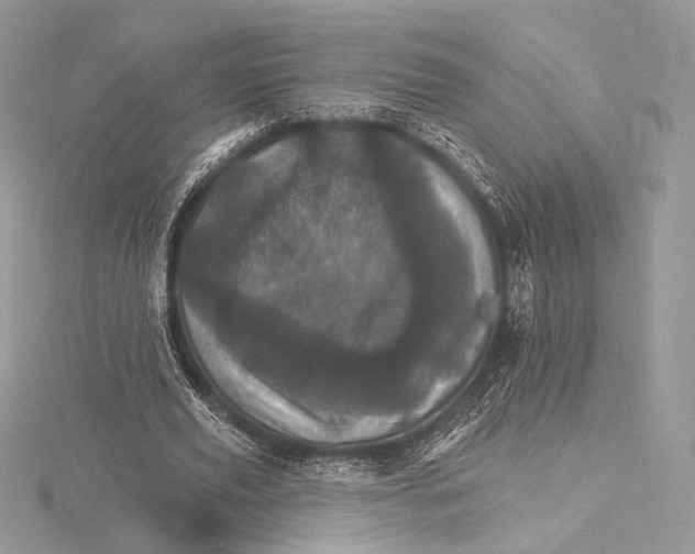 X0000115650629200912081125