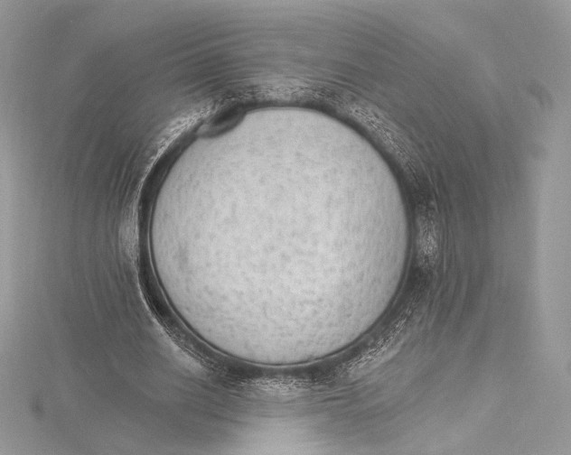 X0000115650630200912081126