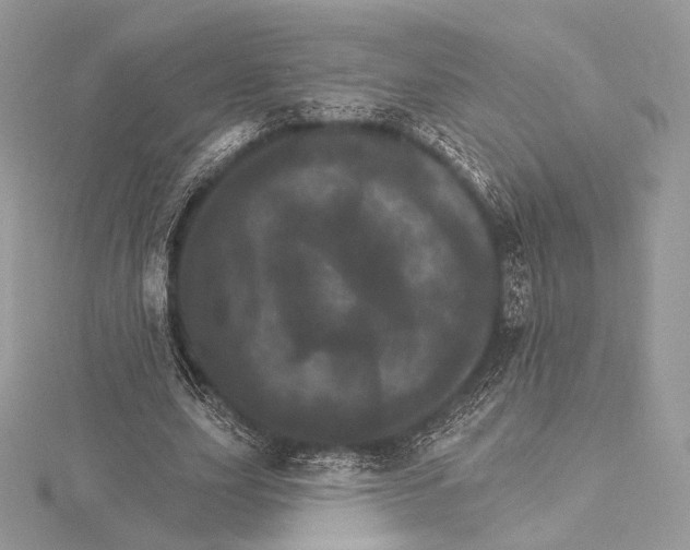 X0000115650631200912081126