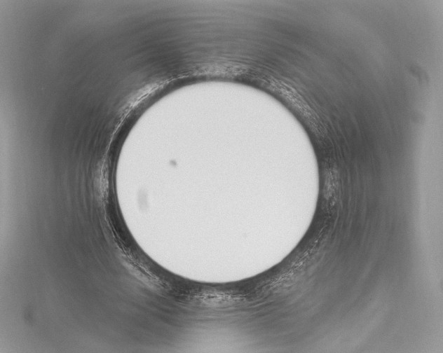 X0000115650632200912081126