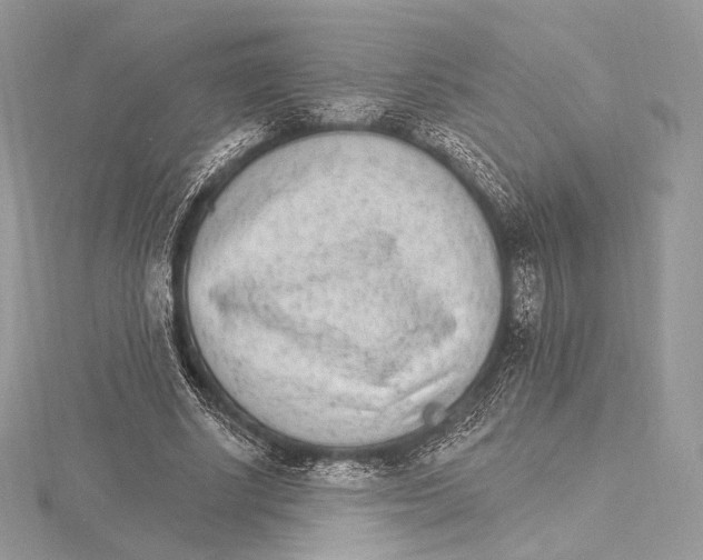 X0000115650634200912081126