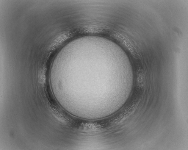 X0000115650635200912081126