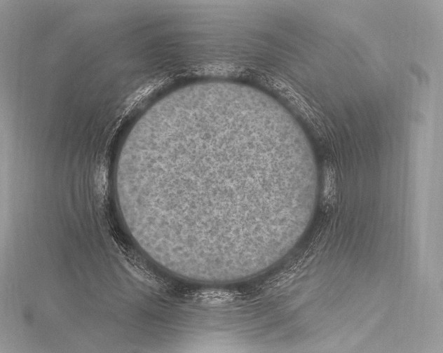 X0000115650636200912081126