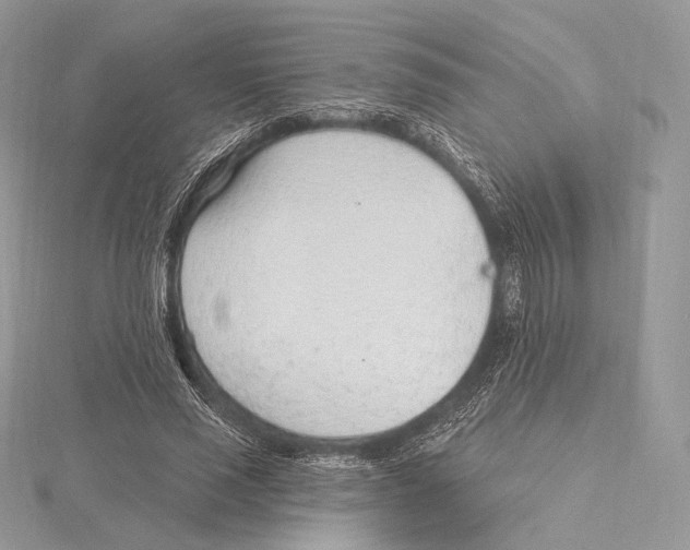 X0000115650637200912081126