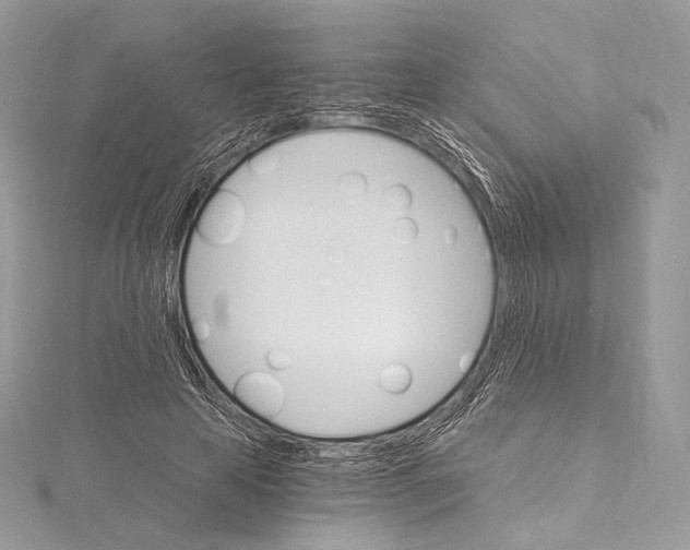 X0000115650641200912081126