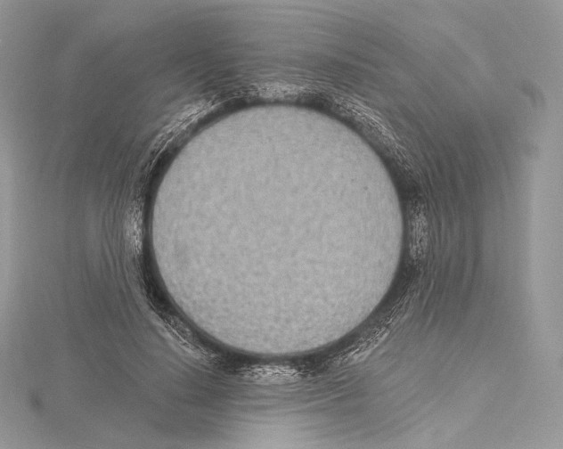 X0000115650644200912081126