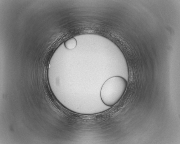 X0000115650646200912081126