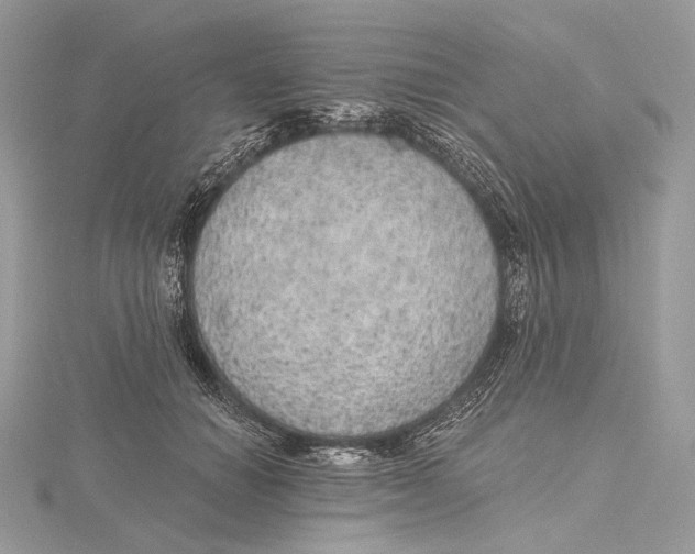 X0000115650654200912081126