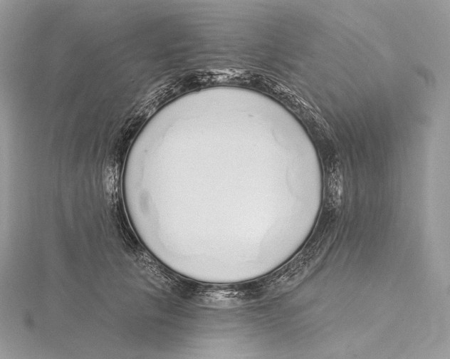 X0000115650657200912081126