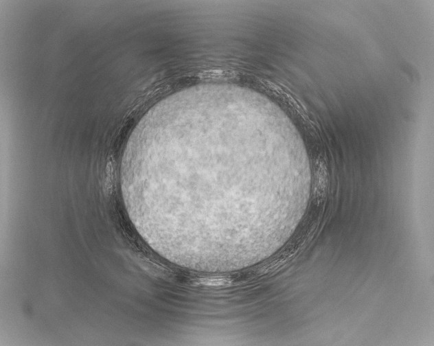 X0000115650659200912081126