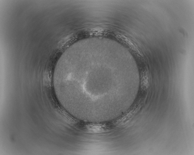 X0000115650661200912081126