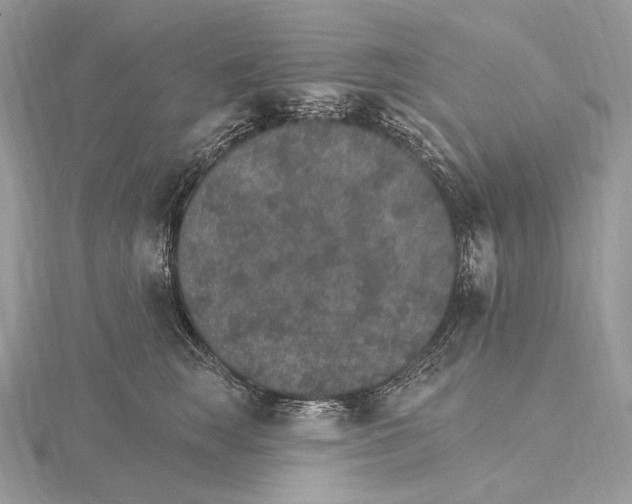 X0000115650663200912081126