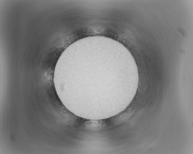 X0000115650672200912081126