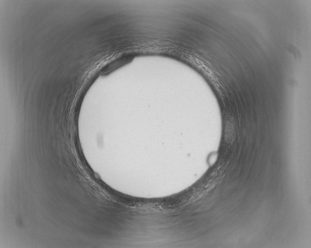 X0000115650673200912081125
