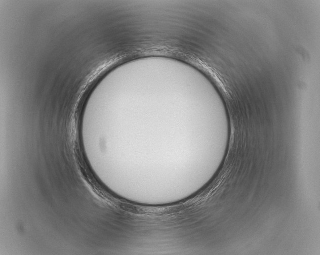 X0000115650674200912081125