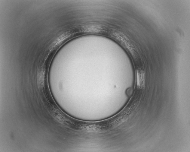 X0000115650675200912081125