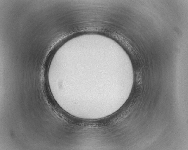 X0000115650676200912081125