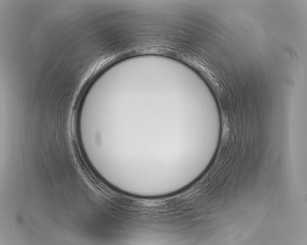 X0000115650678200912081125